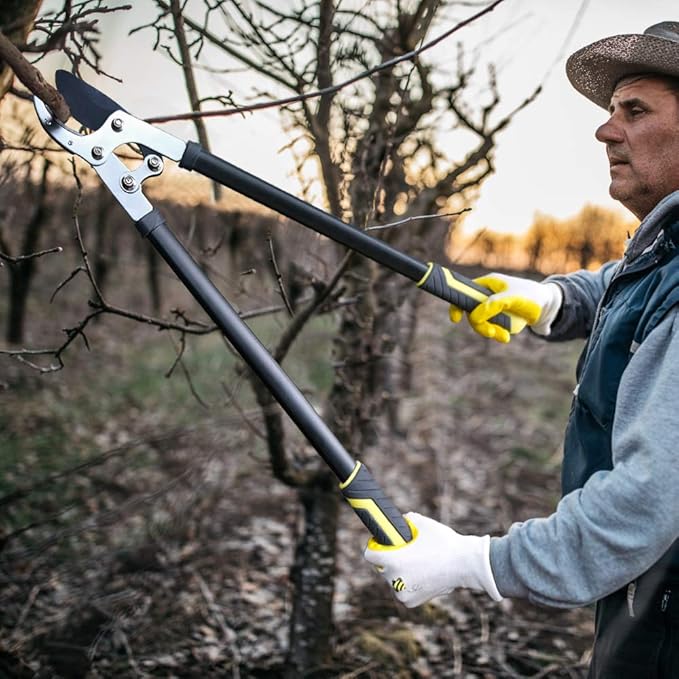 JARDINEER Loppers for Tree Trimming Heavy Duty, 30" Anvil Branch Cutter for Gardening, Manual Tree Trimmer with 2 Inch Cutting Capacity