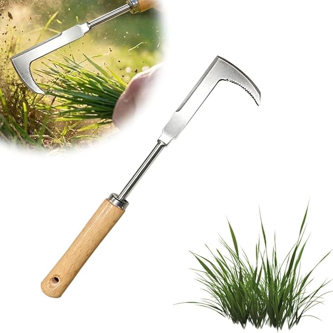 Crack Weeder, 12" Stainless Steel L-Shaped Crevice Weeder Tool with Wood Handle, Heavy Duty Sidewalk Weed Puller Spatula for Garden Patio Lawn, Gardening Hand Tool (D)