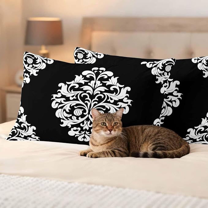 Outdoor Pillow Covers Set of 2, Aesthetic Boho Black White Floral Decorative Throw Pillow Covers 20X12IN, Abstract Minimalist Art Throw Pillows Protector Cushion Case for Patio,Couch,Sofa,Garden