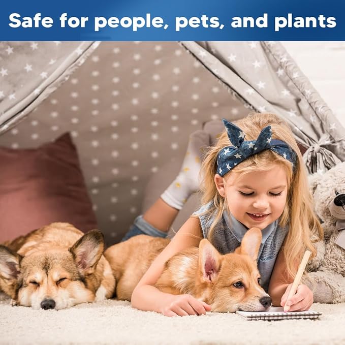Rodent Repellent Indoor, Mice Repellent Indoor, Peppermint Mouse Repellent Outdoor, Rat Repellent, Keep Mice/Rats/Rodents Away from House, Garage, Car Engine, Safe for Kids and Pets – 10 Packs