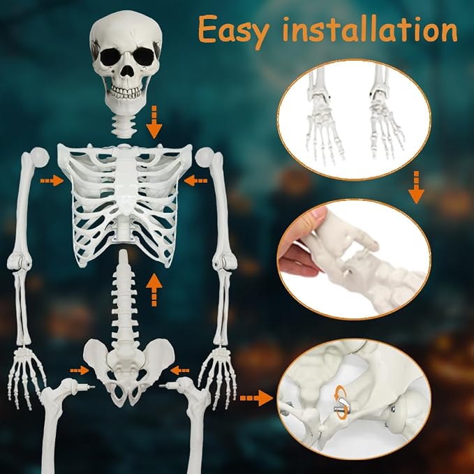 5.9Ft Halloween Life Size Skeleton with Cat for Halloween Party Decor | Plastic Skeletons with Movable Joints