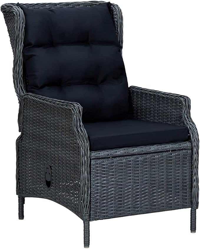 9 Piece Patio Dining Set with Cushions PE Rattan Dark Gray Outdoor Table and Reclining Chairs for Garden Balcony Powder Coated Steel