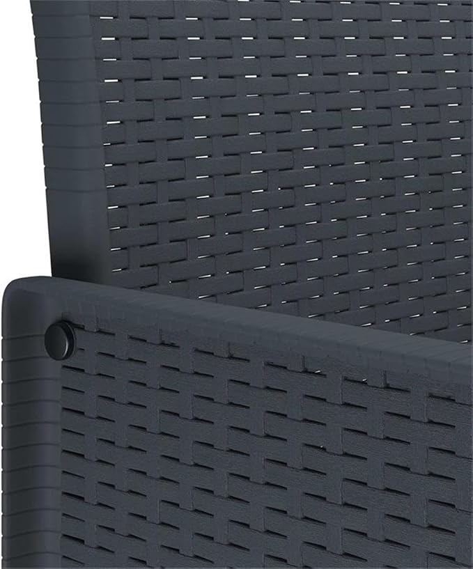 Afuera Living 11 Piece Poly Rattan Patio Dining Set, Anthracite Finish, UV-Resistant with Foam Cushions, Rectangular Table, Modern Outdoor Garden Furniture for Terrace or Backyard Dining, Seats 10