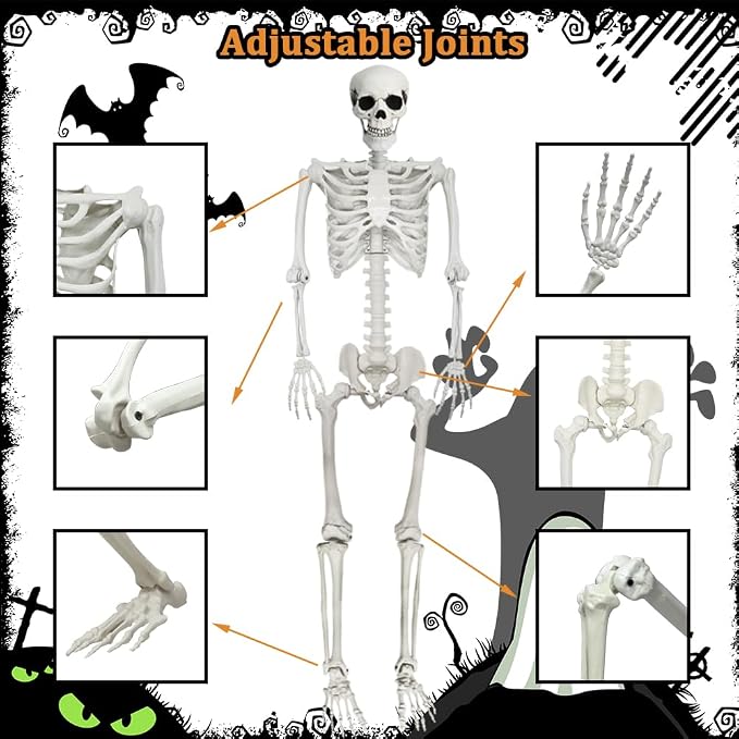 5.9Ft Halloween Life Size Skeleton with Cat for Halloween Party Decor | Plastic Skeletons with Movable Joints
