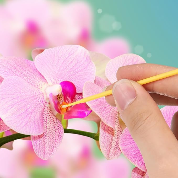 Toyvian Succulent Pollinator Pen Fruit Tree Pollination Tool for Outdoor Gardening Yellow Hand Pollination Brush for Vegetable and Kiwi Plants 100pcs Set and Flower Pollinating