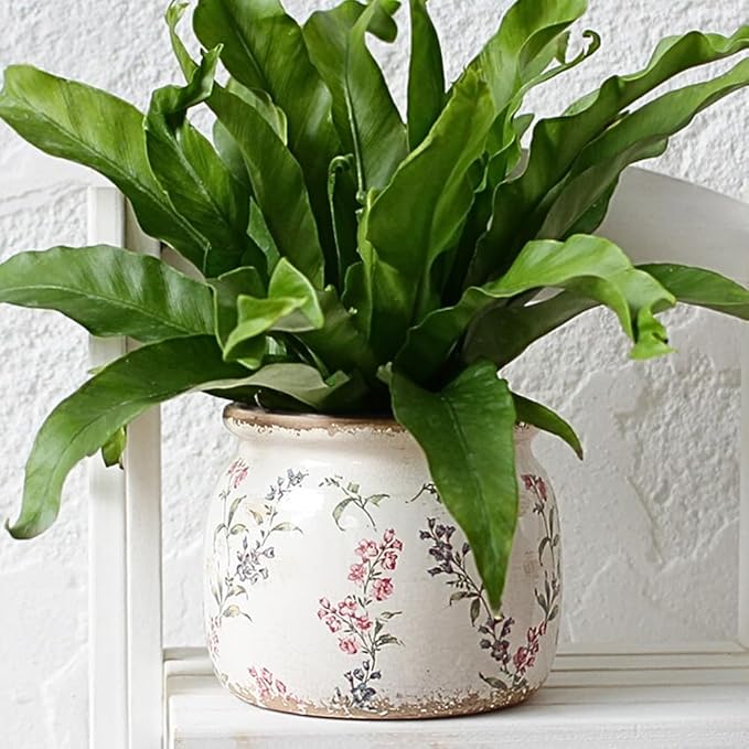 Xiaan Jiaju Flower Pots, Vintage Ceramic Planters for Indoor Plants, 6.29'' Plant Pots with Drainage, French Country Lavender Vase & Planters, Antique Home Room Decor, Gardening & Housewarming Gifts