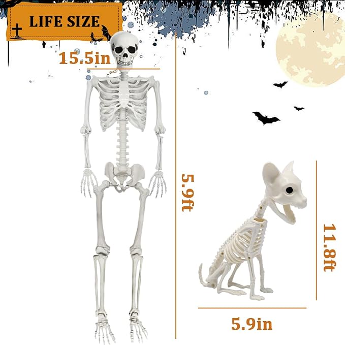 5.9Ft Halloween Life Size Skeleton with Cat for Halloween Party Decor | Plastic Skeletons with Movable Joints
