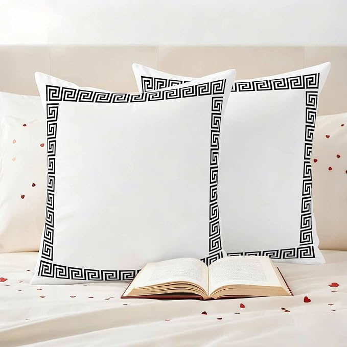 Outdoor Pillow Covers Set of 2, Abstract Inspired Greek Key Pattern Decorative Throw Pillow Covers 16X16IN, Geometric Twist Line on White Throw Pillows Protector Cushion Case for Patio,Couch,Sofa