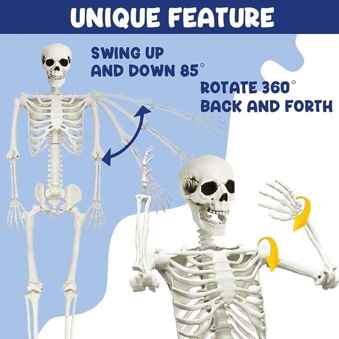 5.9Ft Halloween Life Size Skeleton with Cat for Halloween Party Decor | Plastic Skeletons with Movable Joints