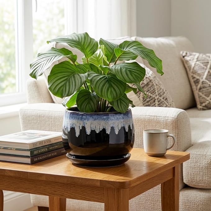 Ceramic Plant Pots - 9 Inch Flower Pots for Indoor Plants, Decorative Pots for Plants with Drainage and Saucer, Large Planter, House Office Decor, Gardening Gifts for Women, Black-Blue