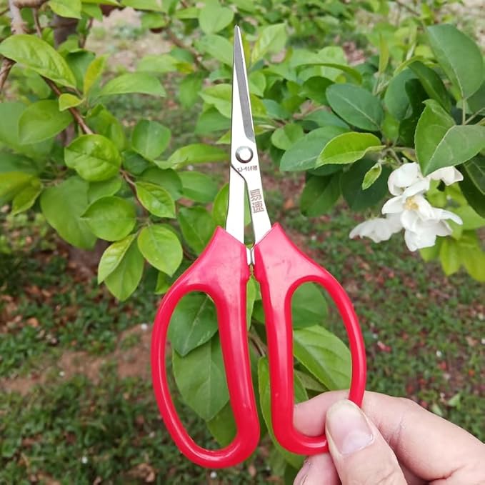 ibasenice 6.10 Inch Flower Cutting Scissors with Curved Blades Portable Gardening Shears for Floral Arrangement Pruning Indoor Plants Orchards