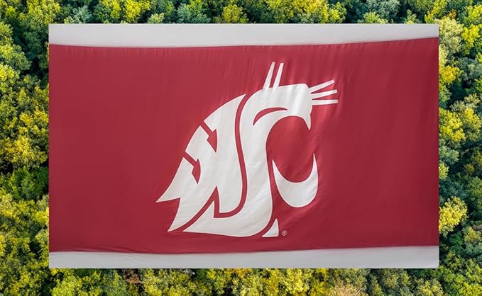 Rincon Official (Washington State University) University College Hammock - Premium 210T Nylon, Spacious 112 x 74 inches (LxW) Double & Single Camping Hammock - Portable Gear for Students and Alumni