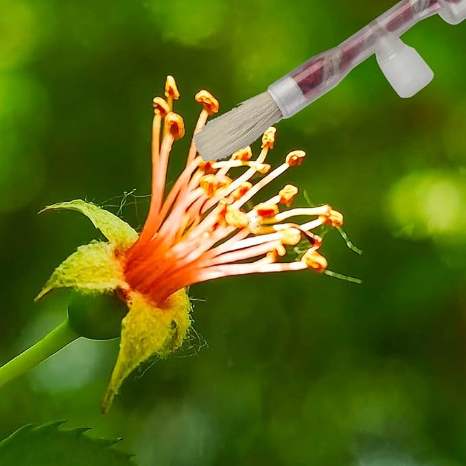 Hand Pollination Brush for Tomatoes Eggplants Peppers - Vegetable Pollinator Tool Garden Pollinator Accessories for Home Gardeners, Plant Pollinating Brush for Flowers Crops