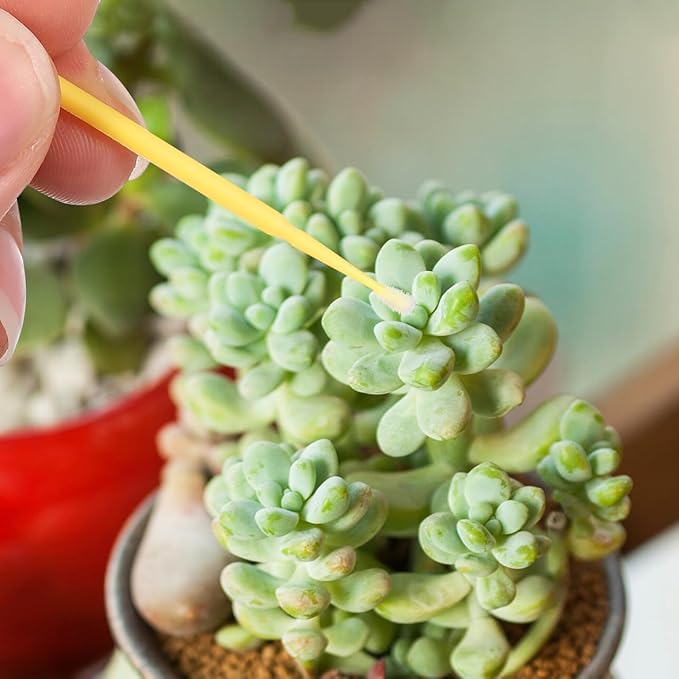 Toyvian Succulent Pollinator Pen Fruit Tree Pollination Tool for Outdoor Gardening Yellow Hand Pollination Brush for Vegetable and Kiwi Plants 100pcs Set and Flower Pollinating