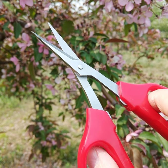 ibasenice 6.10 Inch Flower Cutting Scissors with Curved Blades Portable Gardening Shears for Floral Arrangement Pruning Indoor Plants Orchards