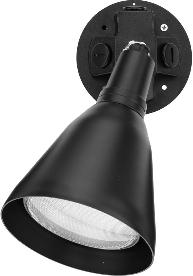 Progress Lighting 1-Light Adjustable Swivel Flood Light, Outdoor, P5202-31, Black