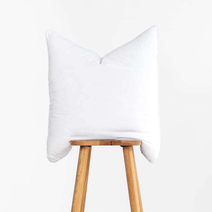 Hofdeco Premium Throw Pillow Insert, Set of 2, 24"x24" (for Cover Size 22"x22") Water Resistant Synthetic Down Alternative Sham Stuffer for Patio, Bench, Garden, Poolside, White