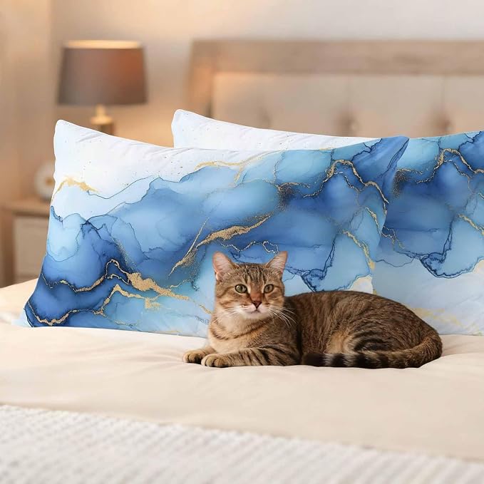 Abstract Marble Texture Outdoor Waterproof Throw Pillow Covers Set of 2, 20"x12", Gold Blue Gradient Modern Art Decoration Decorative Pillow Covers Outside Cushion Case for Patio Porch Garden