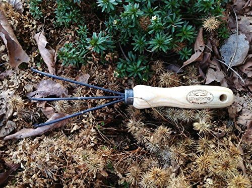 DeWit Spring Tine Cultivator