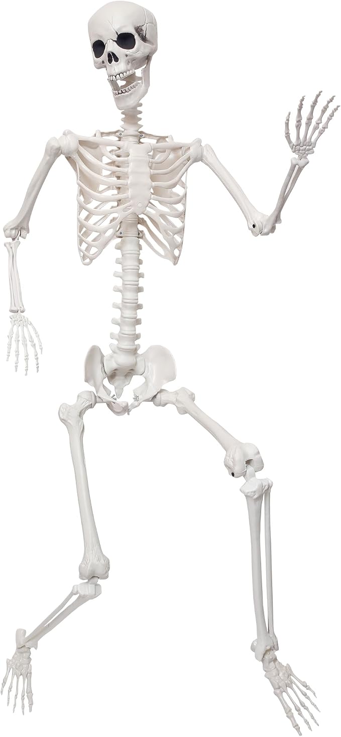 5.9Ft Giant Skeleton Life Size Human Bones with Movable Joints for Halloween Props Decorations