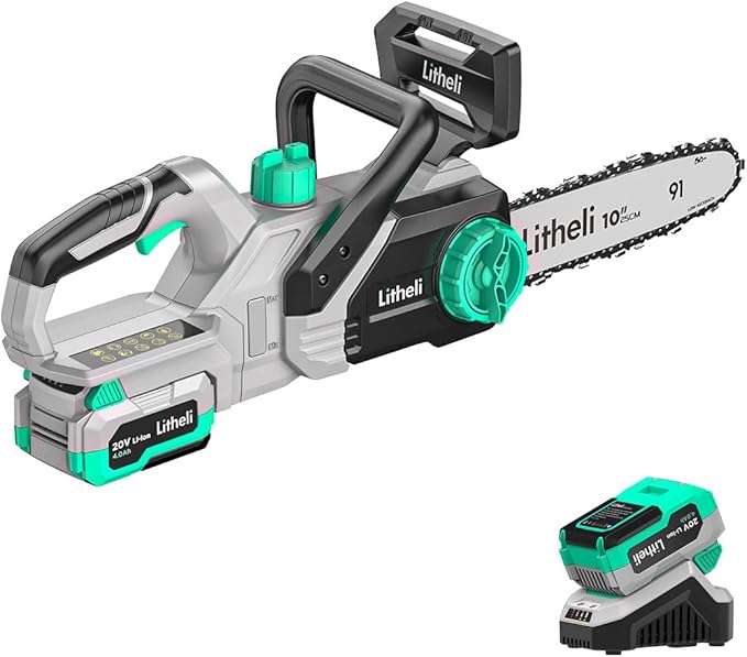 Litheli 10 Inch Chainsaw, 20V Cordless Electric Chain Saw, with 4.0Ah Lithium Battery & Charger, for Branch Cutting,Tree Pruning, Yard, Garden