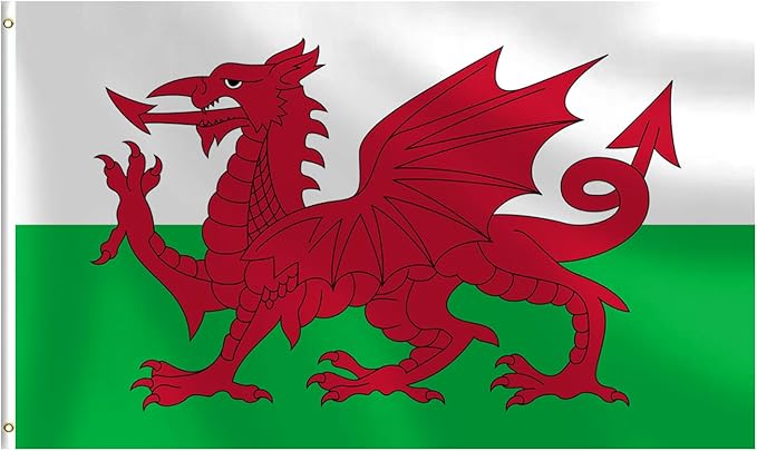 Wales Flag 3x5 FT Heavy Duty Welsh Flag Double Stitched Vivid Color Fade Proof Outdoor Decor With Brass Grommets(Wales)