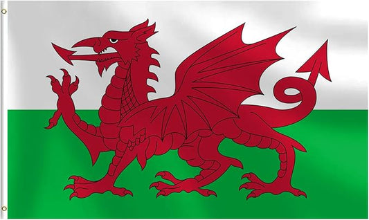 Wales Flag 3x5 FT Heavy Duty Welsh Flag Double Stitched Vivid Color Fade Proof Outdoor Decor With Brass Grommets(Wales)