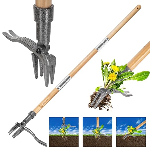 Weed Puller-Stand Up Weed Puller Tool,Adjustable 44-31.5" Bamboo Handle with Heavy Duty 4-Claw Cast Steel Head - Foot Step Design, No Bending Required - Garden & Yard Weeder