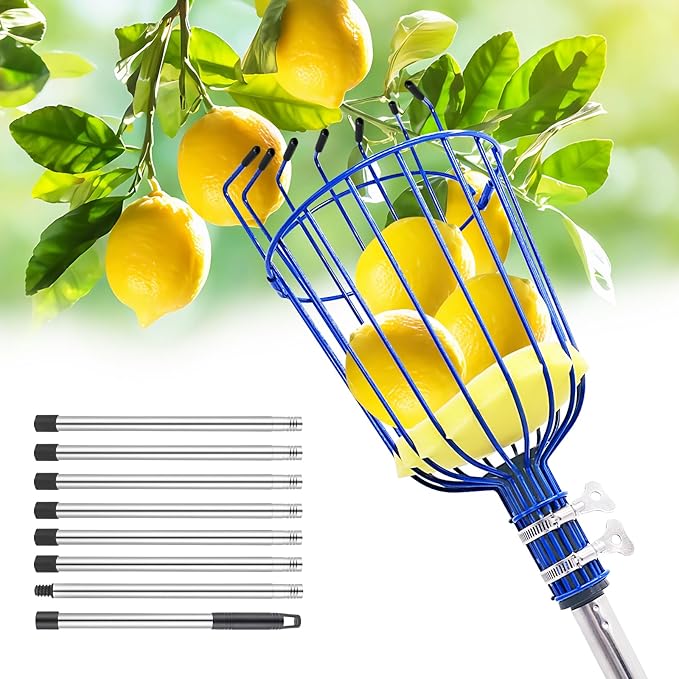 RAIN SPIRIT Fruit Picker Pole with Basket Telescoping tool extension fruit Picker rod, apple pear mango orange picking equipment, nut picking basket with stainless steel rod(10.8 ft)