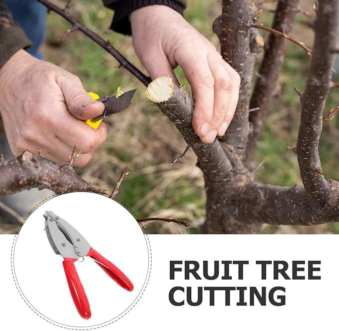 TEHAUX Barking Cutter Scissor – 4-Blade Tree Girdling Tool for Precise Ring Cutting & Bark Stripping – for Fruit Trees, Grapes, Litchi, Jujube, Orchard & Home Garden Use