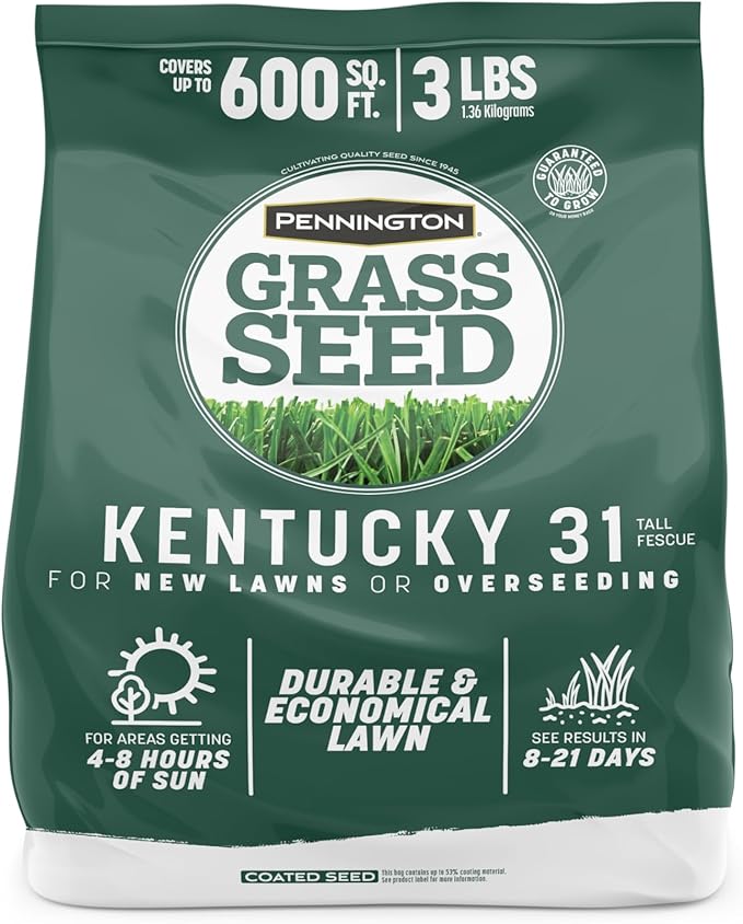 Pennington 100% Kentucky 31 Tall Fescue Penkoted Grass Seed 3 lb