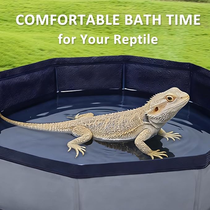 Eooqi Foldable Bearded Dragon Bathtub, Collapsible Reptile Bath Pool & Small Pet Water Tub, Portable Hard-Side Reptile Swimming Pool for Bearded Dragons, Hedgehogs and Hamsters (Gray, 19 x 3.5 in)