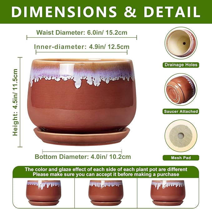 Ceramic Plant Pot - 6 Inch Planters for Indoor Plants, Round Ceramic Planter with Drainage Hole and Saucer, Decorative Small Plant Pots, Room Bookshelf Decor, Red-Purple