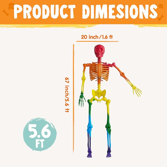 JOYIN 5.6 FT Halloween Posable Life Size Skeleton, Full Body Realistic Bones with Movable Joints, Rainbow Color Giant Skeletons for Halloween Decoration Outdoor, Haunted House Prop, Spooky Scene Party