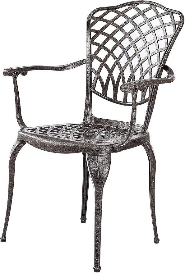 2-Piece Outdoor Dining Chairs,Super Stable Cast Aluminum Chairs with Armrest,2-Pack Patio Armchairs for Garden, Backyard,All-Weather Resistant Outdoor Dining Furniture, Brown