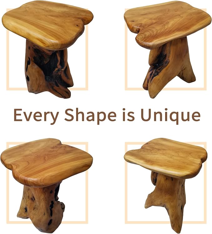 Brefhome 18.9" Tall Cedar Tree Stump Stool, Natural Wood Side Table, Hand-Carved Live Edge End Table, Unique Rustic Plant Stand for Living Room, Patio, Garden
