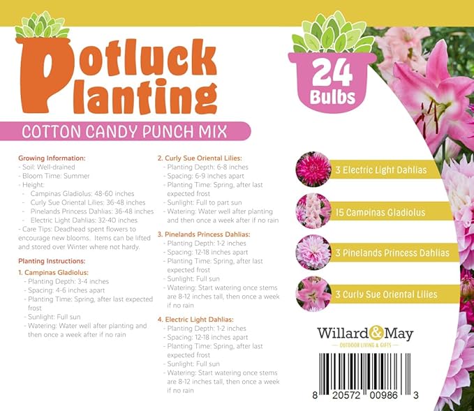 All-in-One Flower Bulb Garden Kit - Cotton Candy Punch Mix - 24 Flower Bulbs per Box - Dahlias, Gladiolus, Lilies - Fragrant - Naturalizing - Live Outdoor Potluck Planting - Easy to Plant Flowers