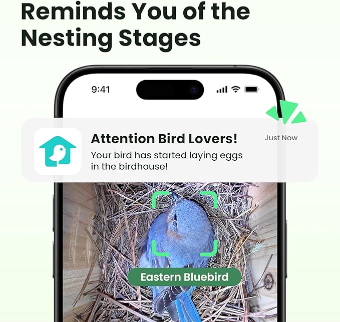 Birdfy Bird House with Camera Inside with Iron Guard, AI Identify & Nest Story, 1080P HD & Night Vision for Bluebird Finch Swallow Wren Chickadee Nesting Watching, Auto Detect & Notify