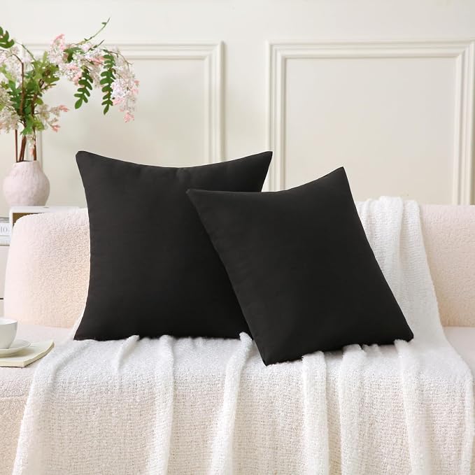 20 x 20 Inch Throw Pillow for Outdoor Seating, Waterproof Lumbar Pillows with Insert, Square Decorative Garden Cushion for Couch Patio Sofa Home Furniture (Black, 20" x 20" (Pack of 2))