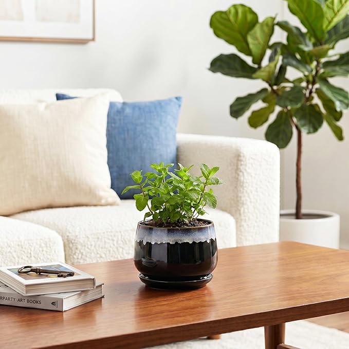 Ceramic Planter 4 Inch - Small Pots for Plants with Drainage and Saucer, Round Flower Pot for Indoor Plants, Ceramic Succulent Pots, Room Home Decor, Plant Lover Gifts for Women, Black-Blue