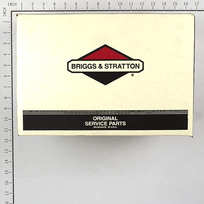 Briggs & Stratton 311554GS Pump