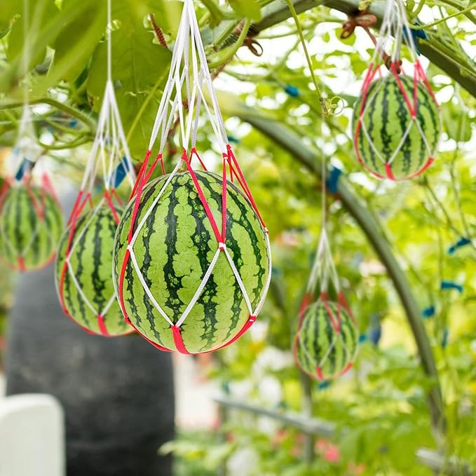 60Pcs Melon Hammocks Cradles, 10Inches Melon Hammock for Trellis Heavy Duty Watermelon Nets, Support Hanging Bags for Pumpkin Cantaloupes Honeydew, 10In Bag 12in Handle, Bear for 30lbs
