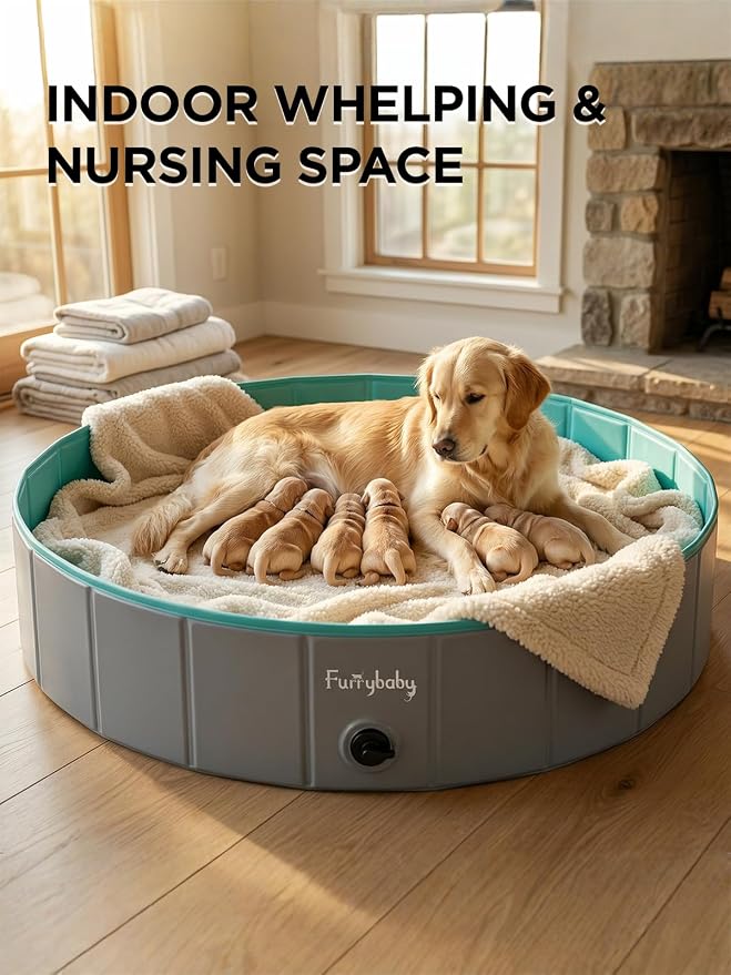 Foldable Dog Pool for Large Dogs, Hard Plastic Kiddie Pool for Dogs, 64" Collapsible Dog Pool with Rigid PP Core, Non-Slip PVC, Durable Pet Bath Tub for Indoor/Outdoor Backyard, Grey