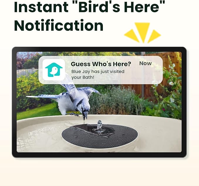 Birdfy Smart Bird Bath with Camera Solar Powered & Solar Fountain & Stand, Dual-Lens Camera for Bird Watching in Phone, Auto Capture Bird Videos, Ideal Present for Bird Lover (AI by Subscription)