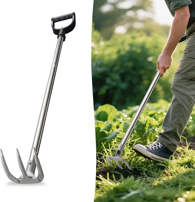 COCONUT 50” Long Handle Weeding and Cultivating Rake, 3-Tine Garden Rake for Stand Up Gardening, No Bending or Kneeling to Loosen Soil, Heavy Duty Steel with D-Grip Handle