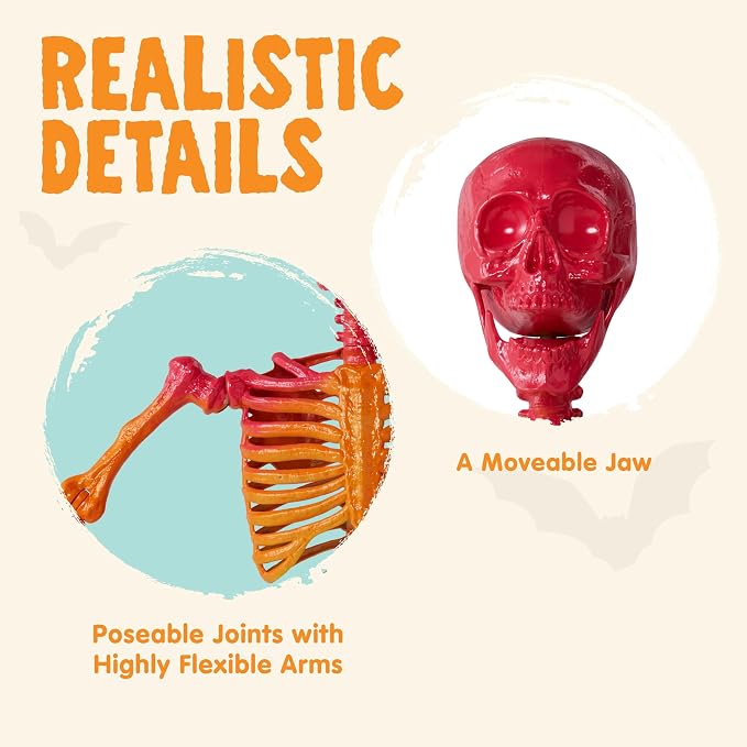 JOYIN 5.6 FT Halloween Posable Life Size Skeleton, Full Body Realistic Bones with Movable Joints, Rainbow Color Giant Skeletons for Halloween Decoration Outdoor, Haunted House Prop, Spooky Scene Party