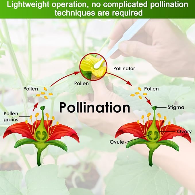 M METERXITY 100-Pack Pollinator Brush, 0.08inch/2mm Plastic Vegetable Pollinator Pen Manual Pollination Tool for Gardening/Greenhouse/Hydroponic Plants/Flowers [White]