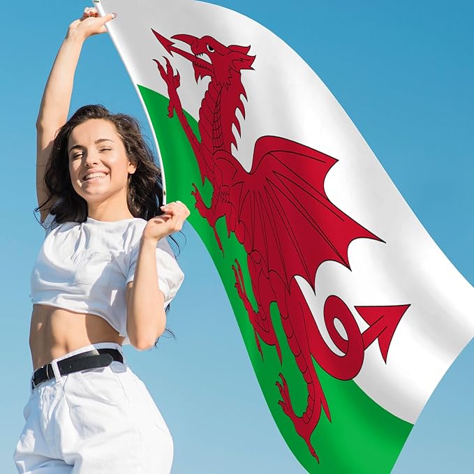 Wales Flag 3x5 FT Heavy Duty Welsh Flag Double Stitched Vivid Color Fade Proof Outdoor Decor With Brass Grommets(Wales)