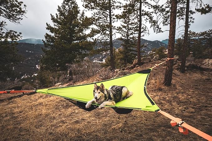 Tentsile Duo 2P Double Hammock – Camping and Lounging Hammock for Backyards, Festivals, Roo, Picnics, Outdoor Campouts, Black, Two Person, Designed in the UK (2024)