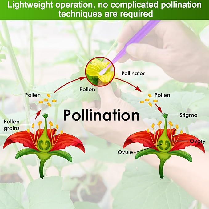 M METERXITY 100-Pack Pollinator Brush, 0.06inch/1.5mm Plastic Vegetable Pollinator Pen Manual Pollination Tool for Gardening/Greenhouse/Hydroponic Plants/Flower [Light Purple]